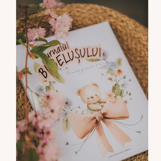 Jurnal Bebeluș