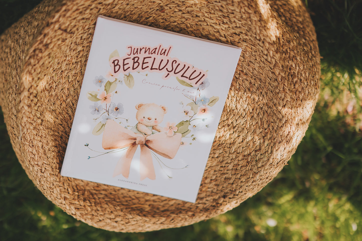 Jurnal Bebeluș