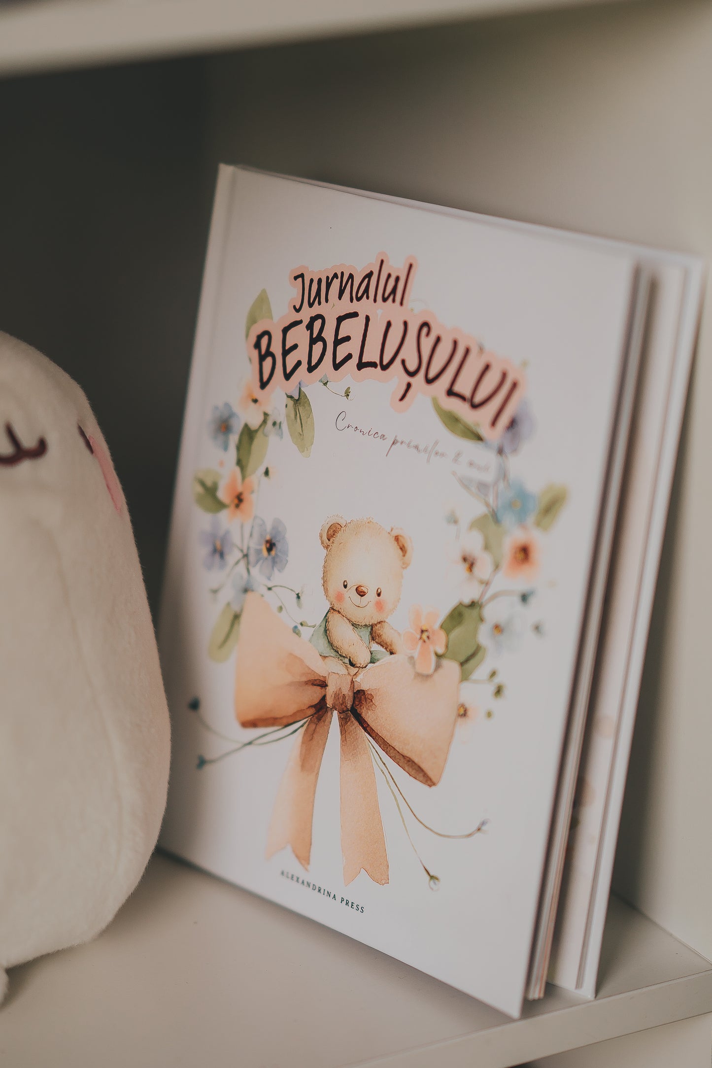 Jurnal Bebeluș