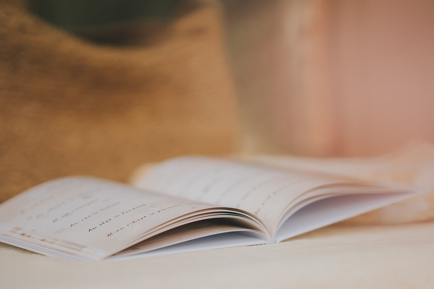 Jurnal Bebeluș