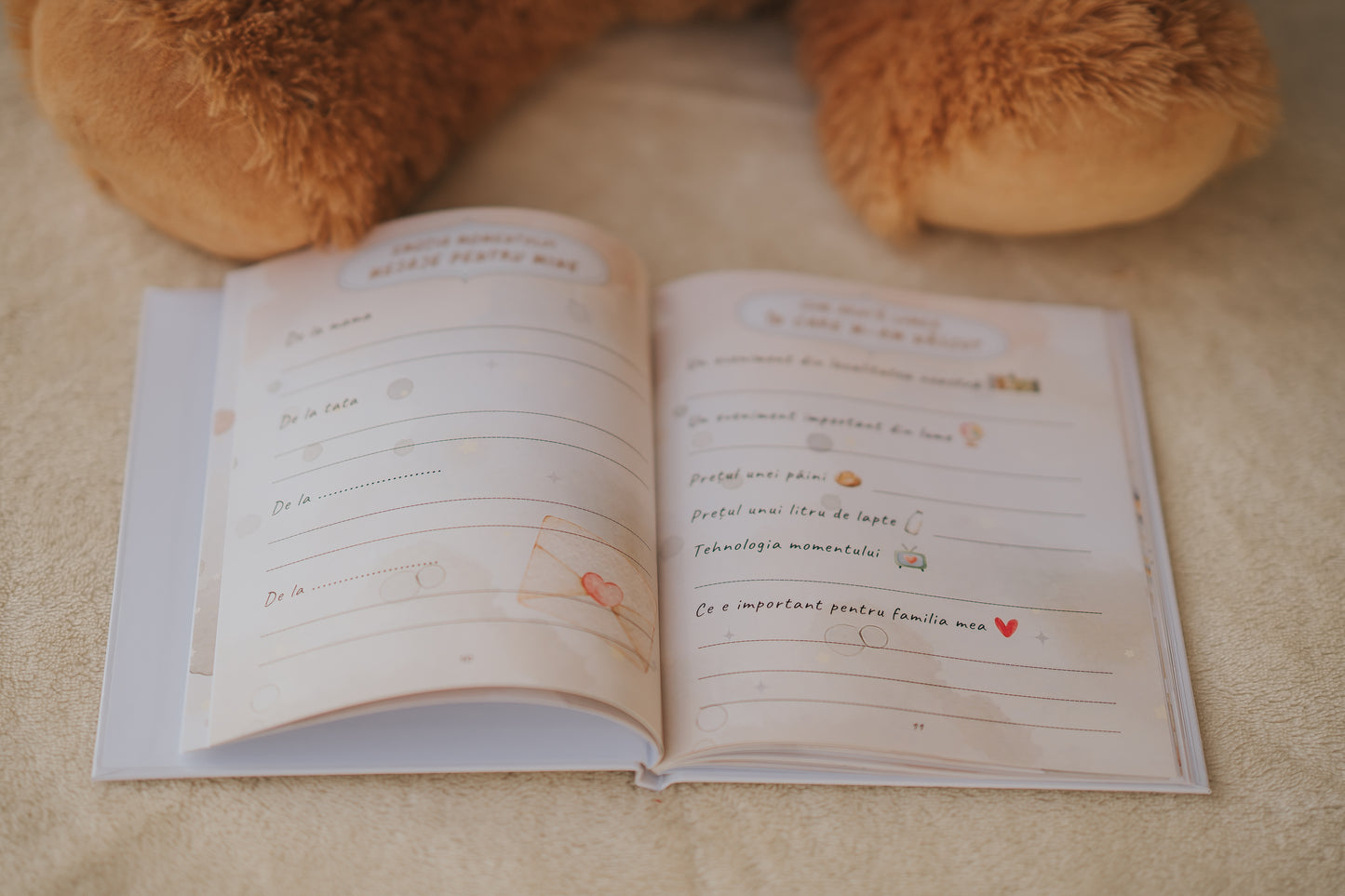 Jurnal Bebeluș